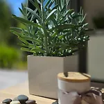 Holiday home Nova Forest - Dom Nad Morzem, Basen, Starlink