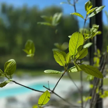 בית נופש Nova Ulinia Forest - Dom Nad Morzem, Podgrzewany Basen , Sauna, Balia Z Jacuzzi, Starlink Ulinia
