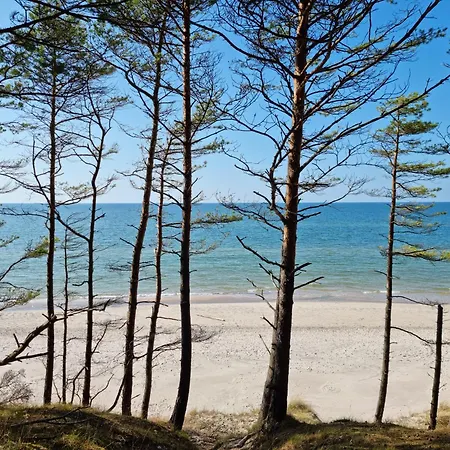 בית נופש Nova Ulinia Forest - Dom Nad Morzem, Podgrzewany Basen , Sauna, Balia Z Jacuzzi, Starlink *